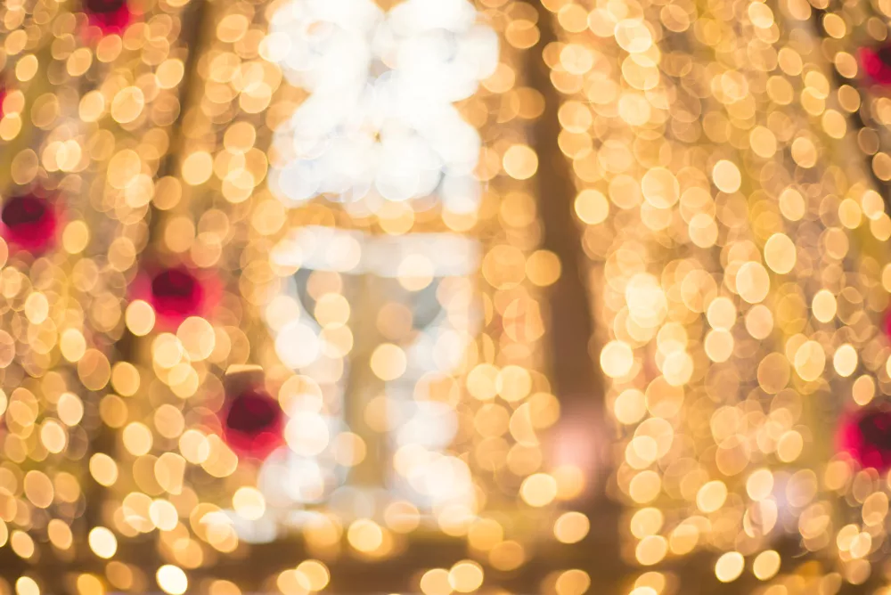 Programma Natale 2025